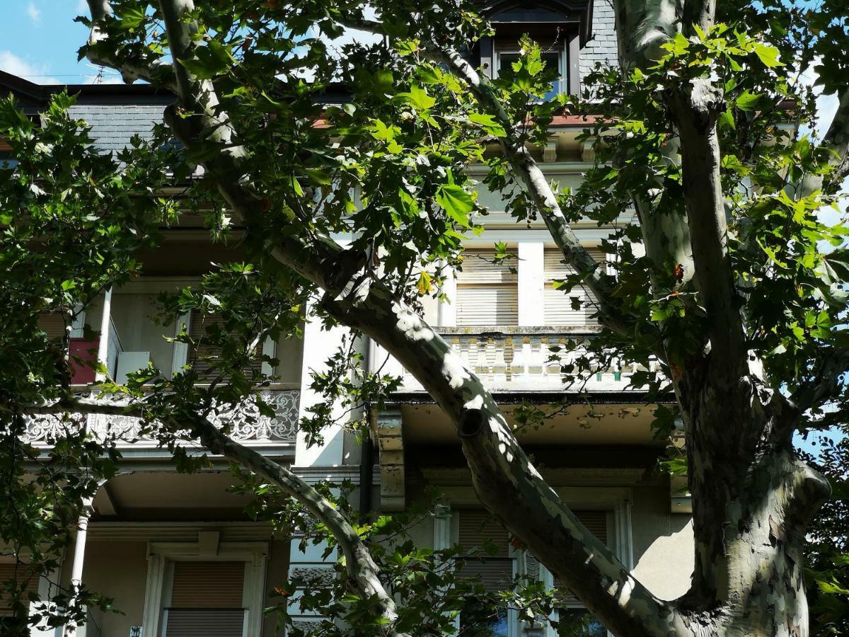 Spazioso E Accogliente Nel Centro Di Merano Kültér fotó
